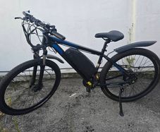 Duotts C29 Electric Bike