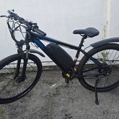 Duotts C29 Electric Bike