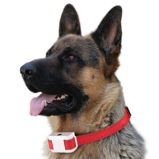 Rechargeable Dog Collar Anti Bark Pet Training Stop Barking Citronella Spray