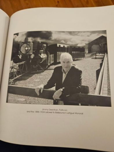 Out Of Your Tree. Photography Ny Dominic Lee. First Edition Hardback In Good Condition.  See Photos For Same