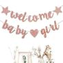 Gender Reveal Party Decoration Image 7
