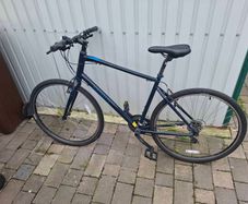 Ridgeback