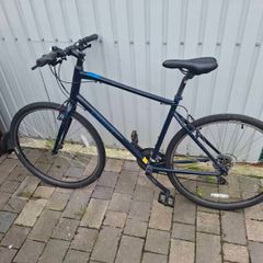 Ridgeback