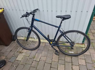 Ridgeback