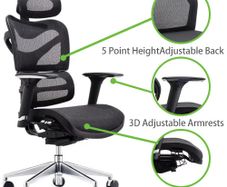 Dorsum Executive Ergonomic Mesh Office Chair (negotiable)