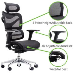 Dorsum Executive Ergonomic Mesh Office Chair (negotiable)