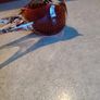 Very Decorative Glass Paperweight Amber Bird Princ Art Glass Made In Czech Republic.  In Box As New. Image 8