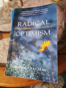 Radical Optimism Beatrice Bruteau