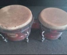 Ashton bongo drums