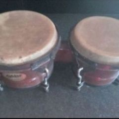 Ashton bongo drums