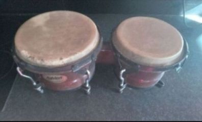 Ashton bongo drums