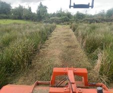Mulching service