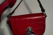 Longchamp crossbody bag