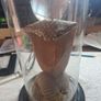 Wax Cobra in antique glass dome. Image 2