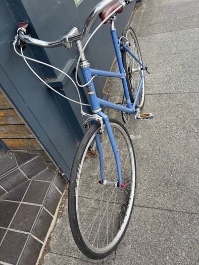 Temple Unisex Step through Bicycle