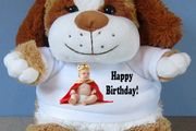 Personalised Dog plush Toy