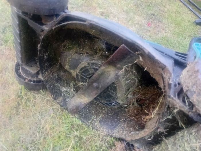 Challenge Hover. McGregor Mower. (Please Read)