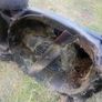 Challenge Hover. McGregor Mower. (Please Read) Image 6