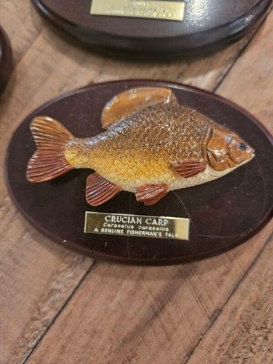 fishermans tale plaques