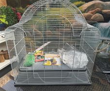 large bird cage, new with accessories