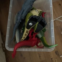 dino