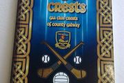 A game of crests GAA club crests of County Galway Ireland Irish