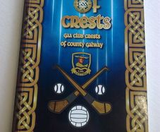 A game of crests GAA club crests of County Galway Ireland Irish