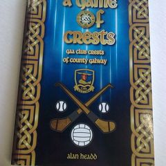 A game of crests GAA club crests of County Galway Ireland Irish
