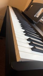 Keyboard/ piano