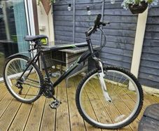 Adult bike