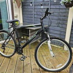 Adult bike