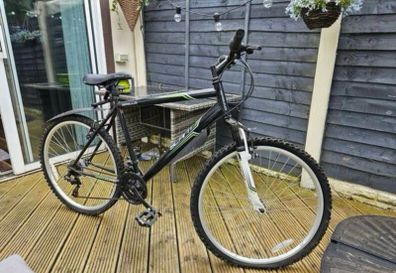 Adult bike