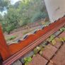 Edwardian mahogany mirror Image 2