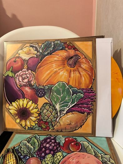Stardew Valley Soundtrack Box Set Vinyl(Opened)