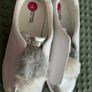Girl Shoes size 5 Image 5