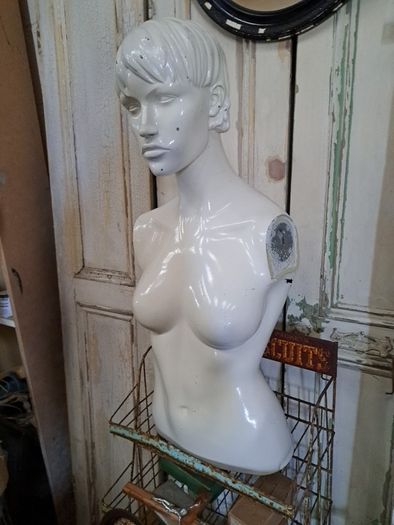 Mannequin Torso