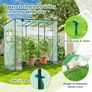 walk in greenhouse Image 4