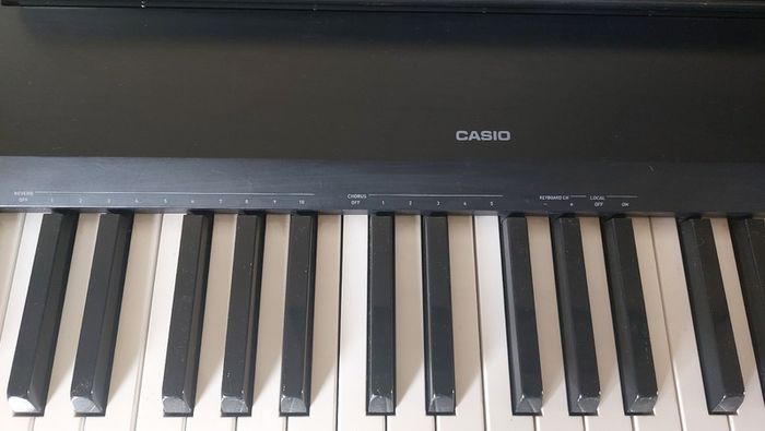 CDP-120 Casio Digital Piano