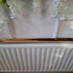 Snooker Cue (Alex Higgins)