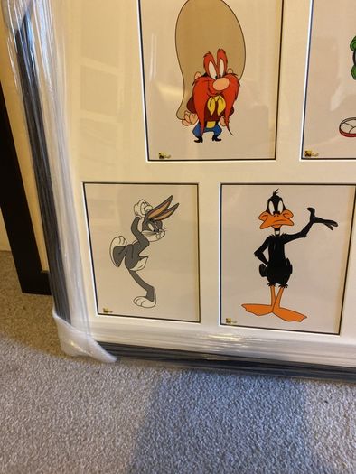 Warner Brother Studio Sericels