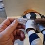 Albi the West Bromwich Albion mascot 10 inch plush Image 8
