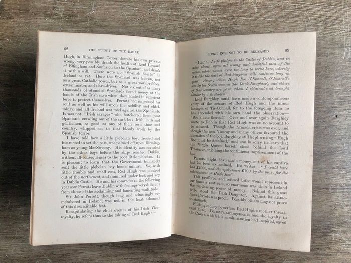Antique Book The Flight of the Eagle by Standish O'Grady