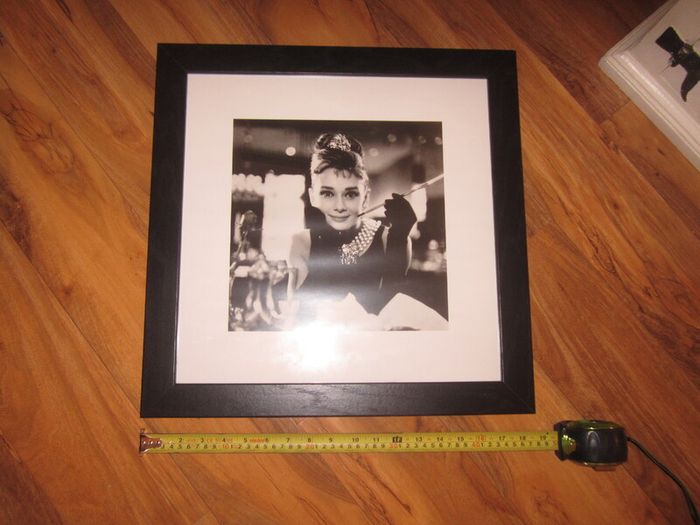 Audrey Hepburn     picture