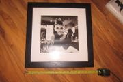Audrey Hepburn     picture