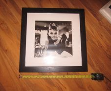 Audrey Hepburn     picture