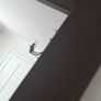 Large Leather  Framed Mirror Image 3