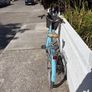 Barracuda Vintage Ladies Bike Image 5