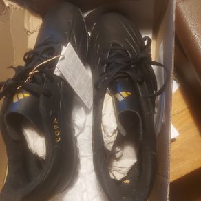 Adidas copa pure 2 astro turf