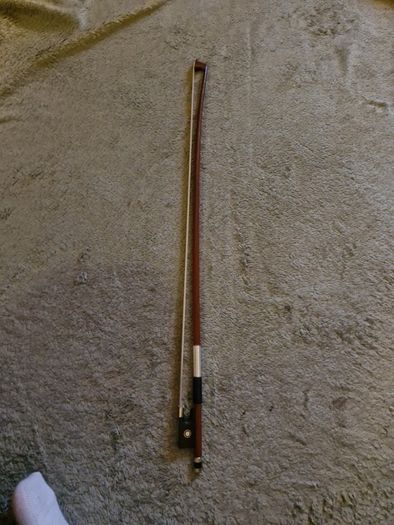 violin