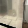 LG Fridge Freezer 60/40 - 7 months old Image 7